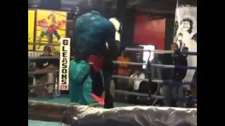 Terence Crawford vs Carlos Adames