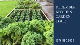 Kitchen Garden December Tour | What to grow in winter outdoors | year round self-sufficiency