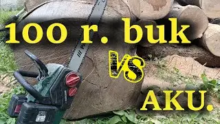 100 ročný buk verzus 2 Aku. Parkside píla z lidla. Jeden rez = jeden par 8Ah akumulátorov?