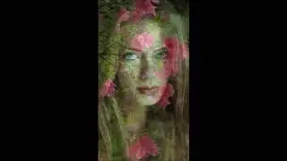 Дыра  (Аглая Датешидзе)