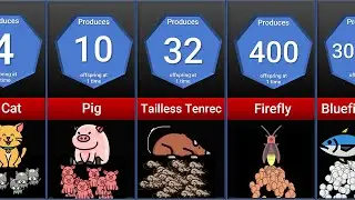 Animal Offspring Production Comparison