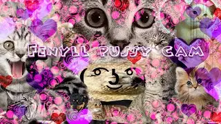 Fenyll Pussy Cam!