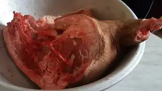 Солим сало, шпик, готовим прессованное мясо из головы вьетнамского поросёнка....