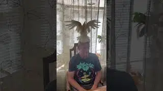 Activating my 'Bird Chakra'! Goode boy, George.  