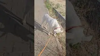 У вас та же история?