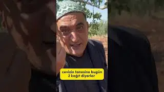 HEYRİ GUŞBOHU - FISTIK ÜRETİCİ VE ÇİLESİ