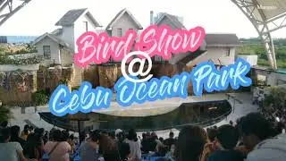 Bird Show @Cebu Ocean Park