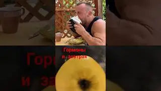 Гормоны и завтрак. #юмор #юмор #мем #shorts #гормоны #эстрадиол #адреналин #эндорфин #серотонин