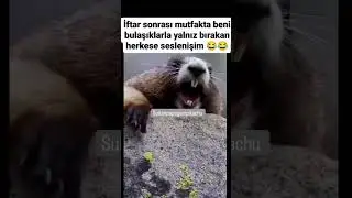 #Ramazan