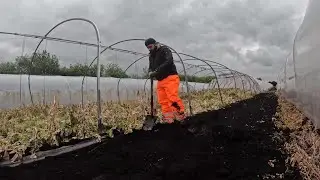 Digging up and repairing polytunnels. Episode 2