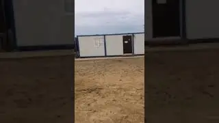 Қасқыр Тенгизде жүр