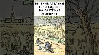 Найдёте на картинке женщину? 
