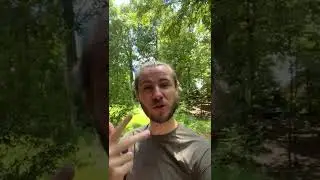 What do you want to see more of?