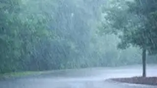 #lluvia#dormir #relajarse Video de lluvia para dormir