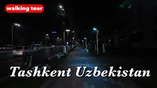 Tashkent, Uzbekistan 4K Walking Tour - Nukus Street - Evening Walk