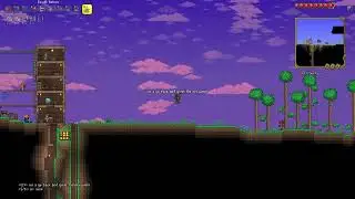 I shared Terraria server details and YOU WONT BELIEVE WHAT HAPPENS! (Terraria)