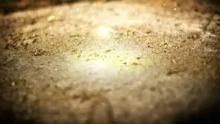 Testa_v02_particles
