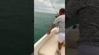 Скорпена 3. Рыбалка в Сочи. #fishing #fish #рыба