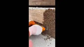 ЭКСКЛЮЗИВ! Наборы для нанесения каменного ковра на вертикальные поверхности.