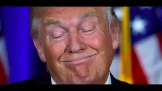 Il meglio di DONALD TRUMP