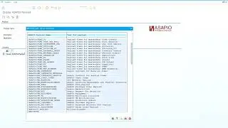 How to use ASAPIO Payload Designer in ECC or S/4HANA