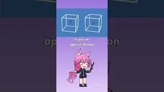 This Boxes Aren't Moving At All!!