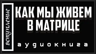 Аудиокнига. Осознанность и жизнь в Матрице.  Вступление