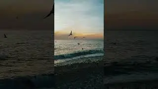 Вечернее море  🌅 🌊 Разве это не чудо?