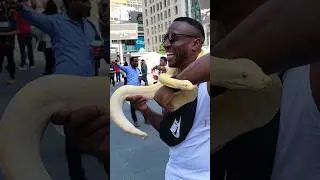 His 1st Time! #shorts #snake #toronto