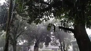 Rainy scene