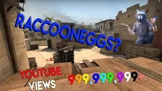 CSGO Moments That Get Me Views (Ft. RaccoonEggs)