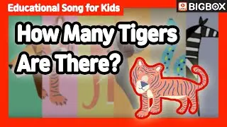 [ How Many Tigers Are There? ] Educational Song for Kids | BIG SHOW #2-1 ★BIGBOX