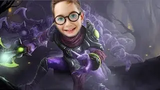 гайд на воида