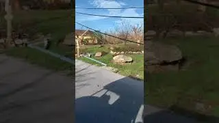 Surveying the damage