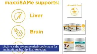 maxxidog - maxxiSAMe - Advanced SAM-e liver supplement for dogs – Hepatic liver health