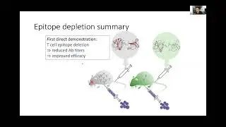 Yoonjoo Choi: Protein deimmunization by T cell epitope deletion