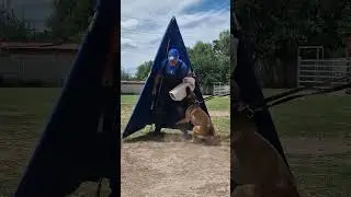 olaf protection(3)