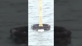 norwegian rescue 