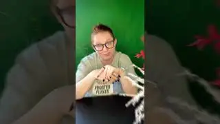 Этого вы не знали! Гвоздика траурный цветок? 