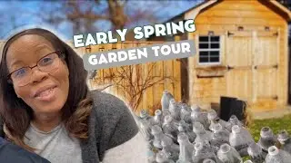 🇨🇦 Winter Sowing Update/ Garden Tour🧑🏾‍🍳👩🏽‍🌾