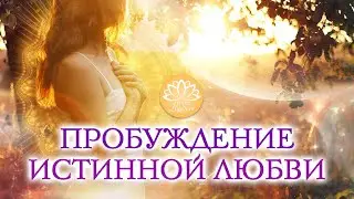 AWAKENING TRUE LOVE | Bring Love and Understanding Back into Your Relationships