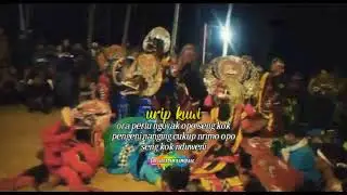Manisnya Negriku Jaranan || story wa jaranan