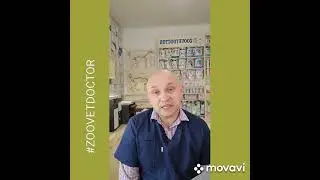 Токсоплазмоз от кошек и собак @zoovetdoctor