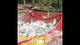 ek hi baar me fish pakad liya