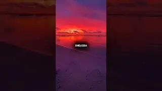 xheloziaa🤍 #lyrics #viral