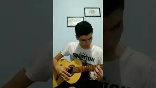 A Flor e o Beija-flor Solo de Viola 