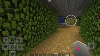 My Flat World