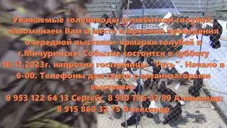 Напоминание о месте и времени проведения выставки-ярмарки голубей в г.Мичуринске в ноябре 2023г.