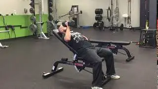 Single-Arm Low Incline DB Bench Press