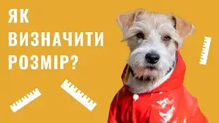 РОЗМІР ОДЯГУ СОБАКИ: ЯК ПРАВИЛЬНО ЗНЯТИ МІРКИ
